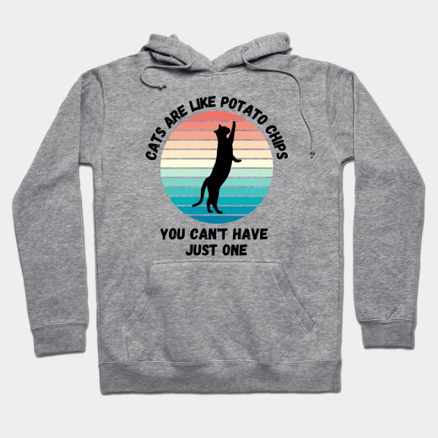 Cats Are Like Potato Chips You Cant Have Just One Hoodie by LetsGetInspired